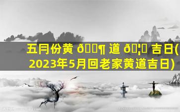 五冃份黄 🐶 道 🦉 吉日(2023年5月回老家黄道吉日)